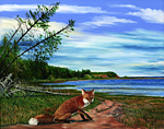 fox At The Beach