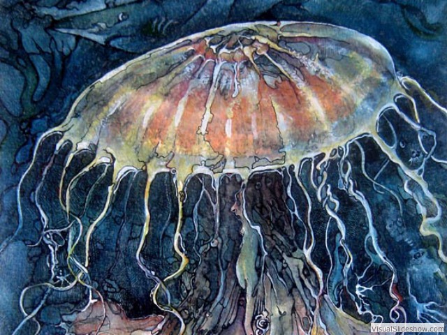 Fish Jelly